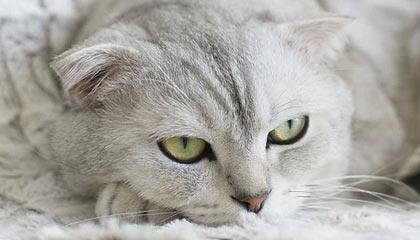 星空体育:与星空同速跃动的运动新纪元